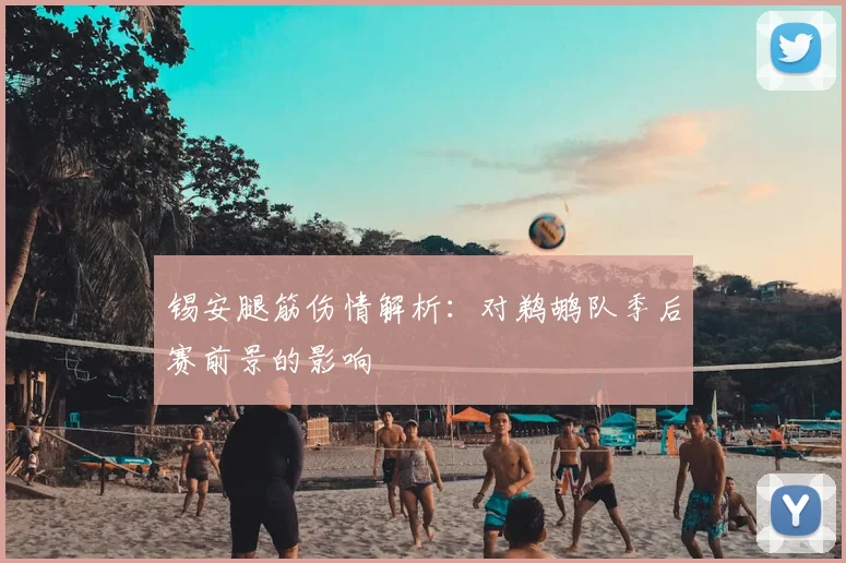 锡安腿筋伤情解析：对鹈鹕队季后赛前景的影响