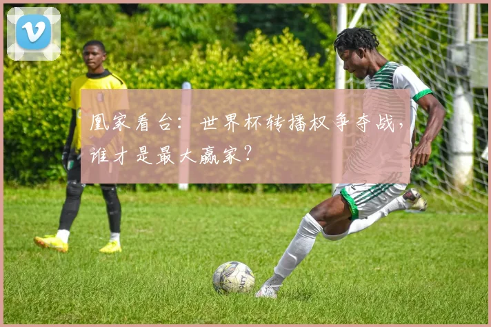 凰家看台：世界杯转播权争夺战，谁才是最大赢家？