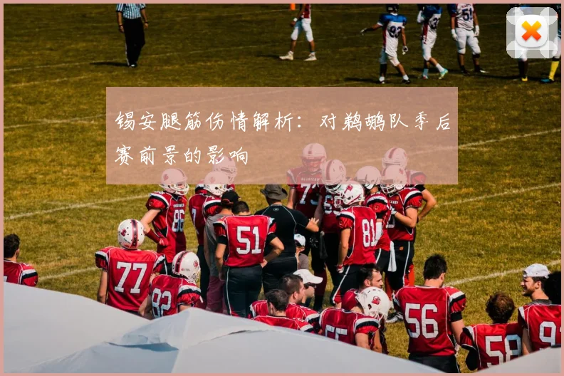 锡安腿筋伤情解析：对鹈鹕队季后赛前景的影响